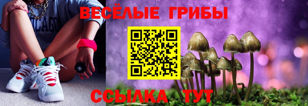 Псилоцибиновые грибы мухоморы  Вход с VPN  Лениногорск 