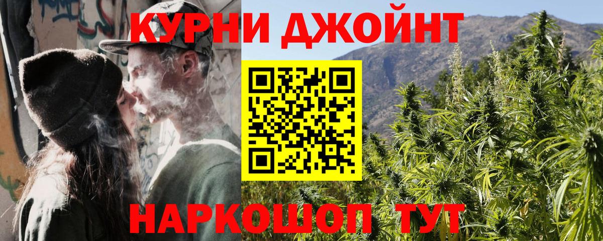 Канабис сатива Лениногорск